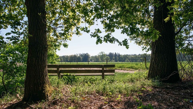 Veluwe